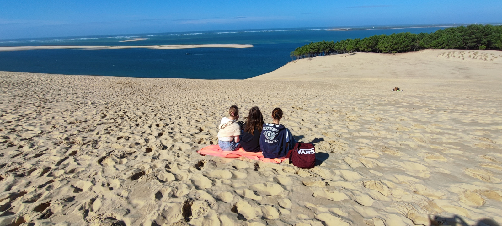  La dune